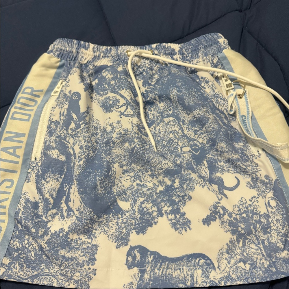 Dior Blue and White Scenic Skirt